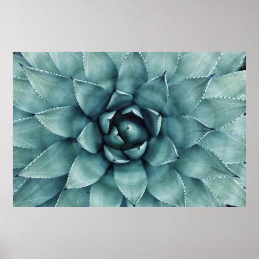 緑葉植物 ポスター (正面)