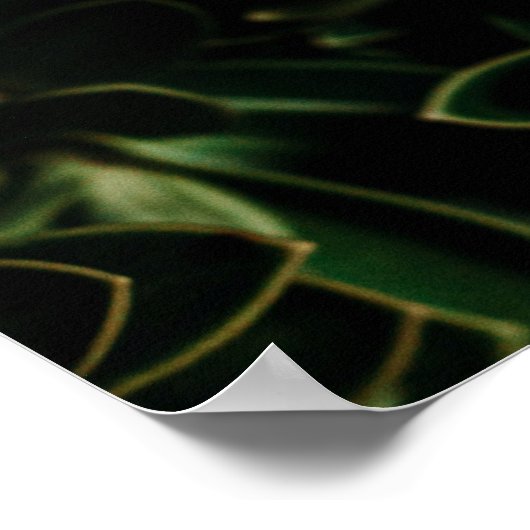 緑葉植物 ポスター (角)