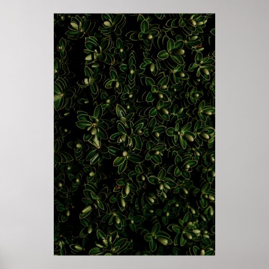 緑葉植物 ポスター (正面)