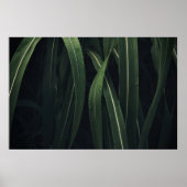 緑葉植物 ポスター (正面)