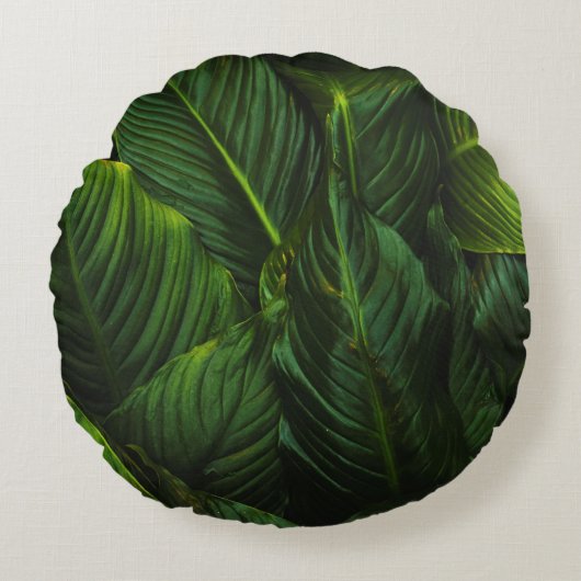 緑葉植物 ラウンドクッション (正面)
