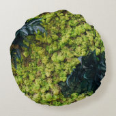 緑葉植物 ラウンドクッション (裏面)