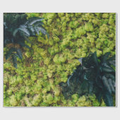 緑葉植物 ラッピングペーパー (フラット)