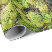 緑葉植物 ラッピングペーパー (ロールコーナー)