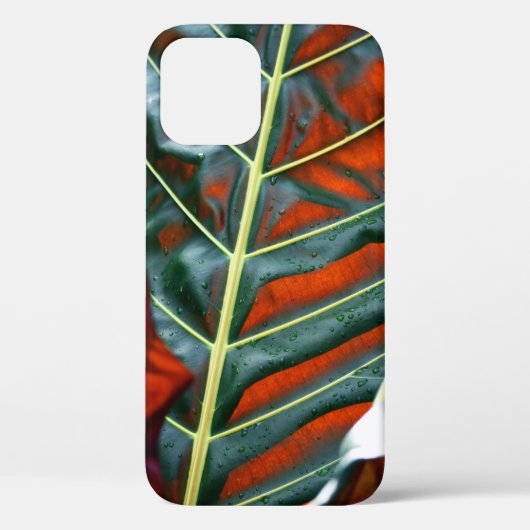緑葉植物 Case-Mate iPhoneケース (裏面)