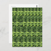 緑葉野菜パターン ポストカード (正面/裏面)