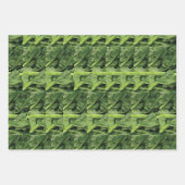 緑葉野菜 ラッピングペーパーシート (正面2)