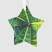 緑葉 オーナメント (正面)