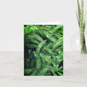 緑葉 カード (正面)