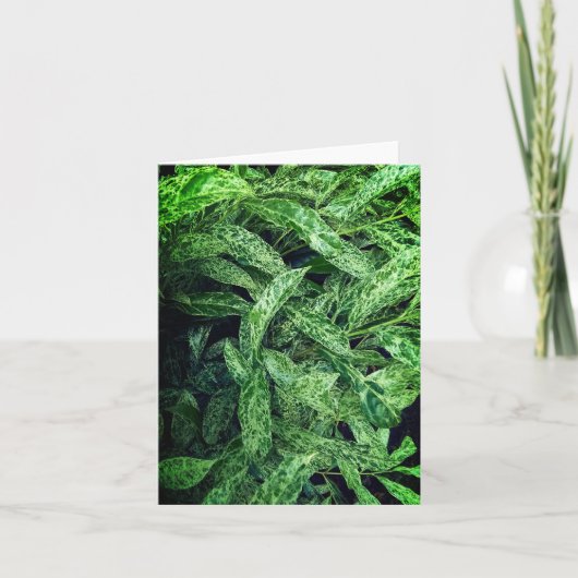 緑葉 カード (正面)