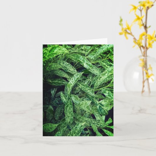 緑葉 カード (黄色い花)