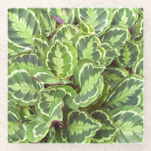 緑葉 ガラスコースター (正面)