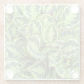 緑葉 ガラスコースター (裏面)