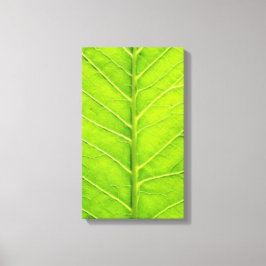 緑葉 キャンバスプリント (正面)