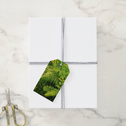 緑葉 ギフトタグ (より糸付き)