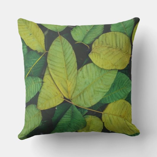 緑葉 クッション (裏面)