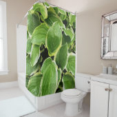 緑葉 シャワーカーテン (インサイチュ)