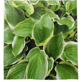 緑葉 シャワーカーテン