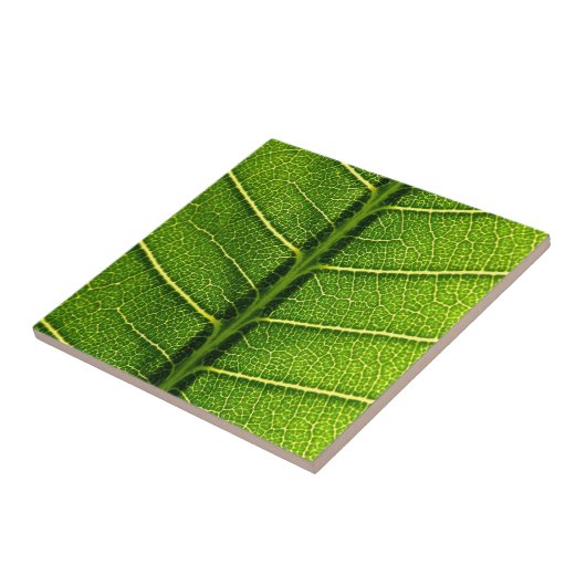 緑葉 タイル (側面)