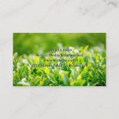 緑葉 |ファームロゴ 名刺 (裏面)