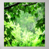 緑葉 ポスター (正面)