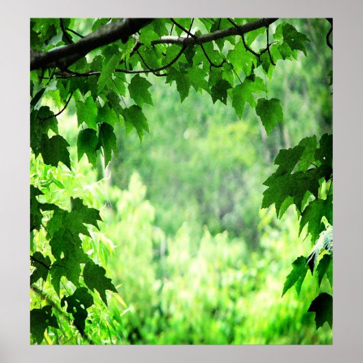 緑葉 ポスター (正面)