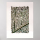 緑葉 ポスター (正面)