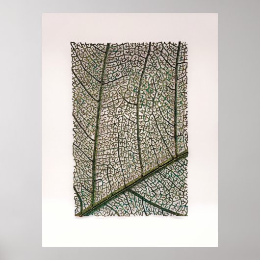 緑葉 ポスター (正面)