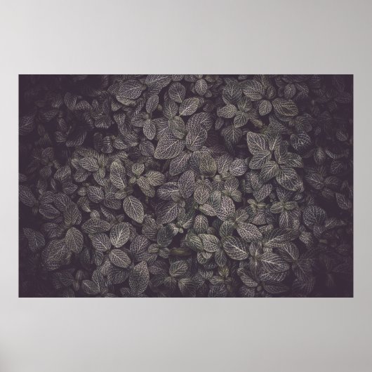 緑葉 ポスター (正面)