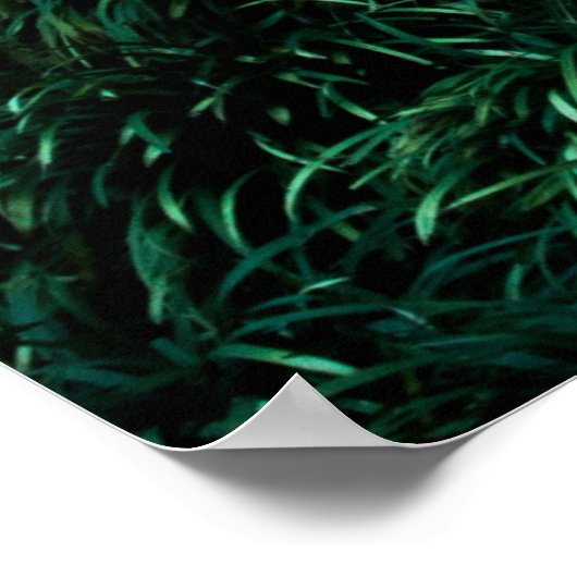 緑葉 ポスター (角)