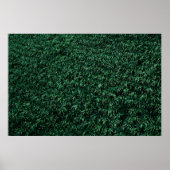 緑葉 ポスター (正面)