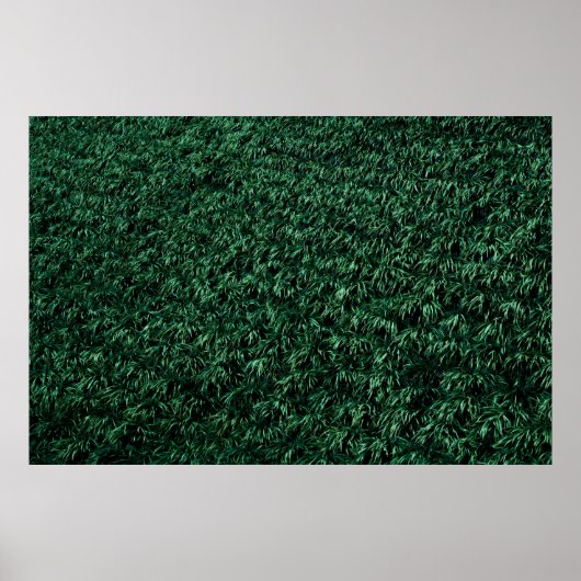 緑葉 ポスター (正面)