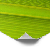 緑葉 ポスター (角)