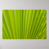 緑葉 ポスター (正面)