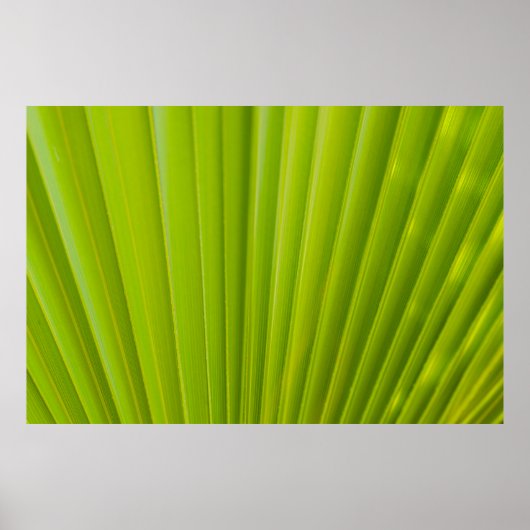 緑葉 ポスター (正面)