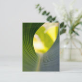 緑葉 ポストカード (スタンド正面)