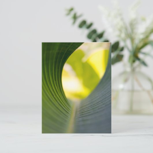 緑葉 ポストカード (スタンド正面)