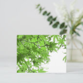 緑葉 ポストカード (スタンド正面)