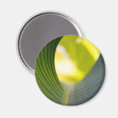 緑葉 マグネット (正面/裏面)