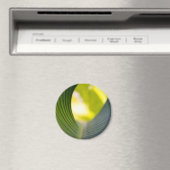 緑葉 マグネット (インサイチュ (食洗機))