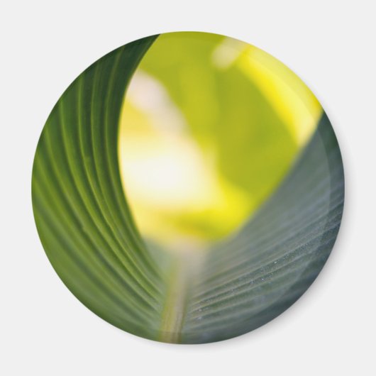 緑葉 マグネット (正面)