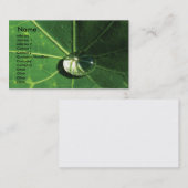 緑葉 名刺 (正面/裏面)