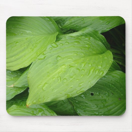 緑葉、雨滴 マウスパッド (正面)