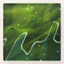 緑藻類と水のコーテルカナ ガラスコースター