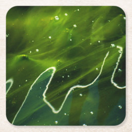 緑藻類と水の混濁 スクエアペーパーコースター