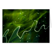 緑藻類と水の結晶 (正面横)