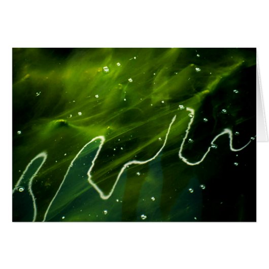 緑藻類と水の結晶 (正面横)