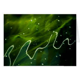 緑藻類と水ガス