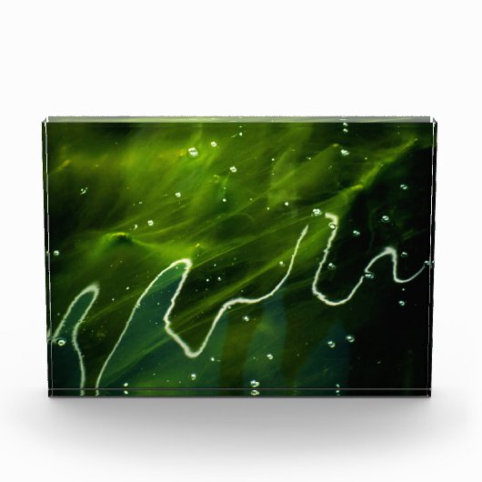 緑藻類と水草 フォトブロック (正面)