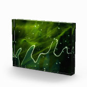 緑藻類と水草 フォトブロック (右)